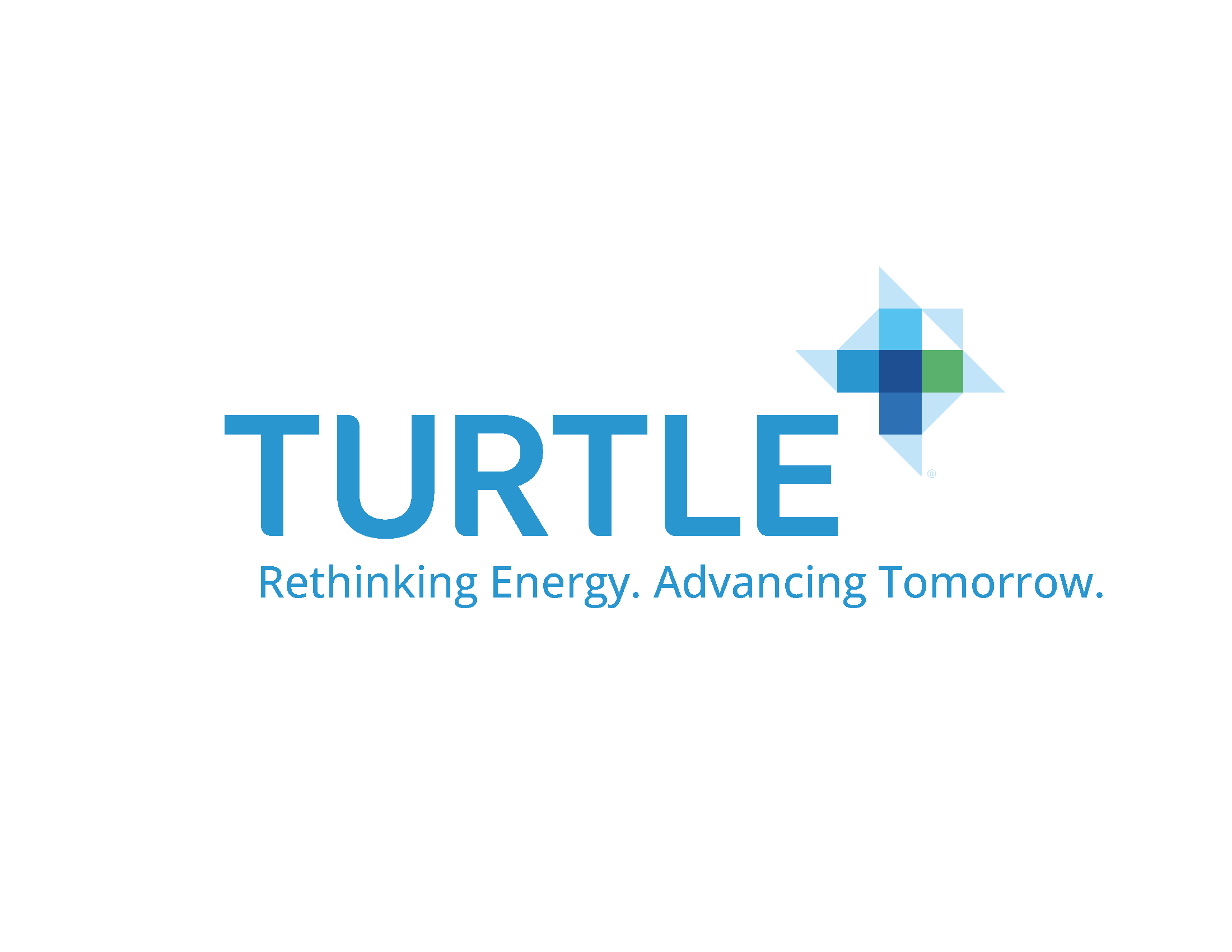 Hole Turtle Logo With Tagline 4 Col Live Text ® Copy